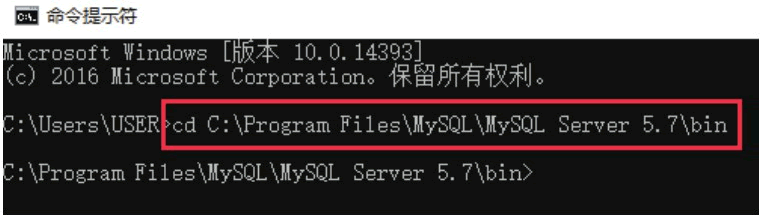 定位MySQL的bin目录