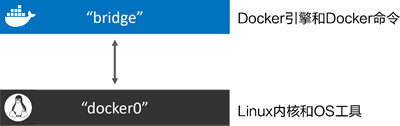 “bridge”网络和“docker0”网桥之间的关系